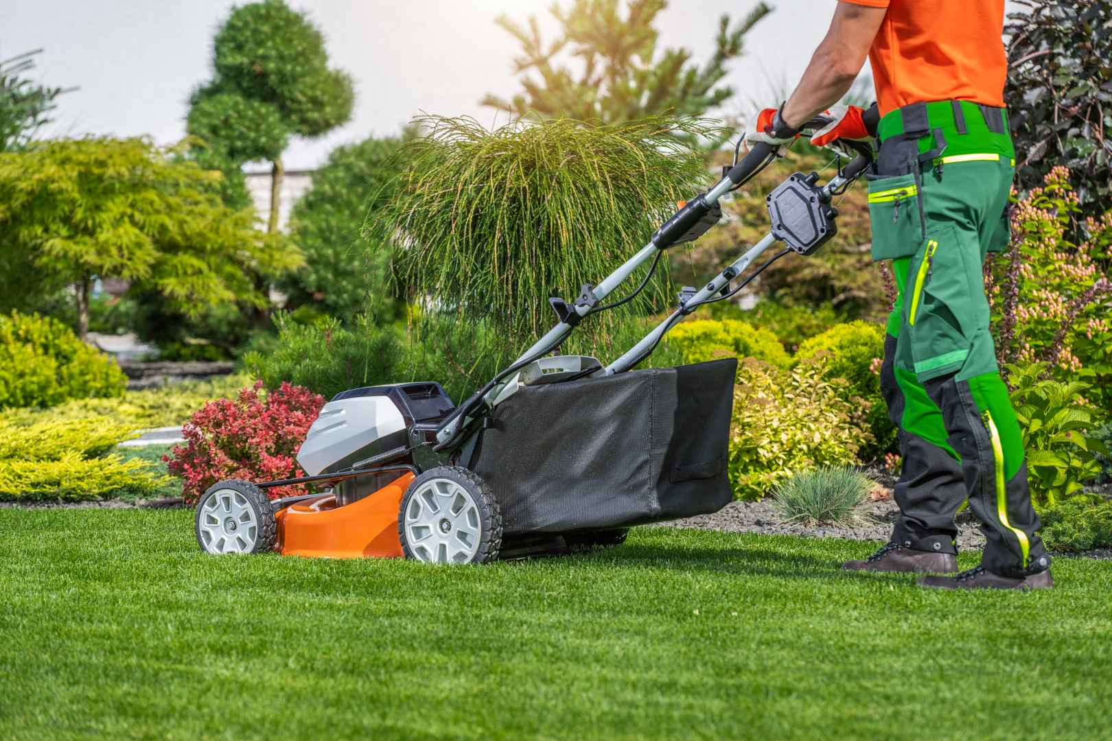 Rose Lawn Care - Your Lawn in Expert Hands